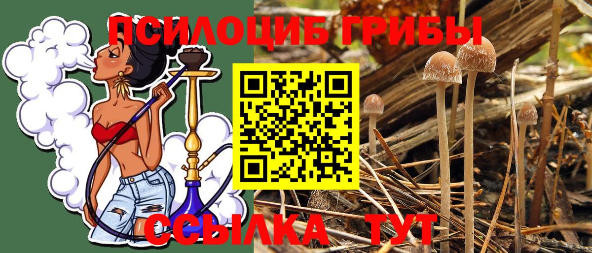 Галлюциногенные грибы Magic Shrooms  Вход с VPN  Саранск  Псилоцибиновые грибы мухоморы 